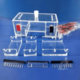 Electrophoresis horizontal-mini- Electrophoresis horizontal-mini