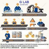 G LAB Human Respiratory System Model on Base- 