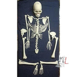 Human Skeleton Disarticulated Fiber Model- Lab Equipment