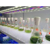 Laboratory Tissue Culture Rack- Tissue Culture lab Equipment