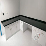 Trespa Lab Furniture, Lab Side- Laboratory Furniture